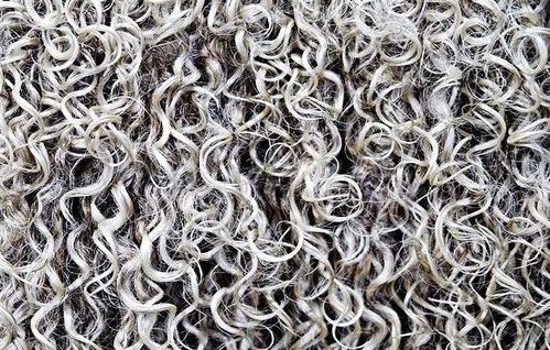 纺织纤维的几种基本性能,你都知道吗
